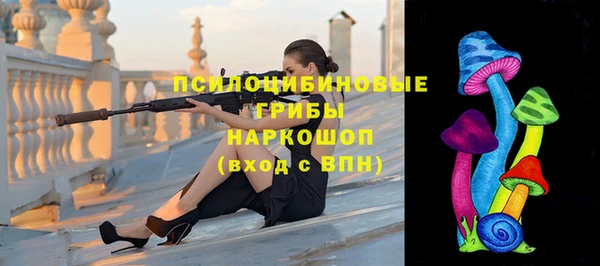 герыч Бронницы