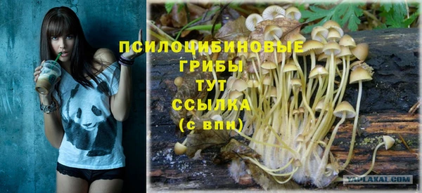 герыч Бронницы