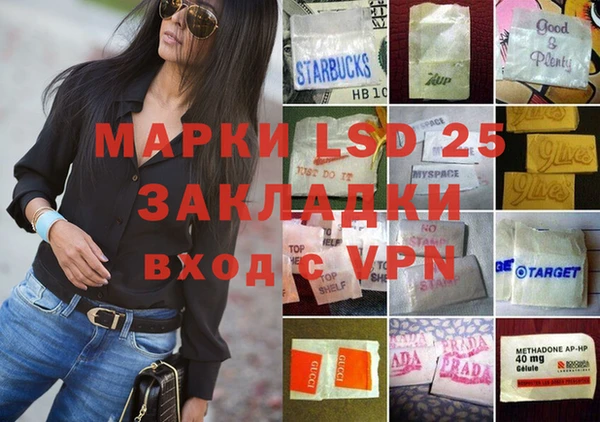 хмурый Бородино