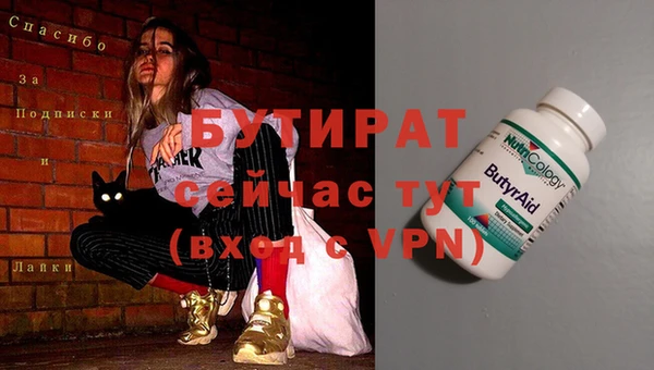 хмурый Бородино